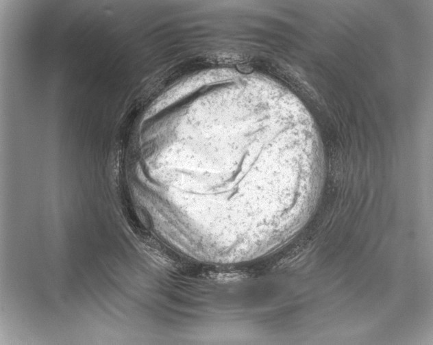 X0000072550645200608111840