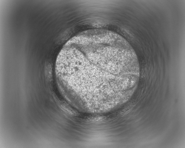 X0000072550646200608111840