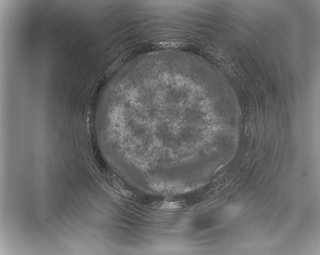 X0000072550647200608111840