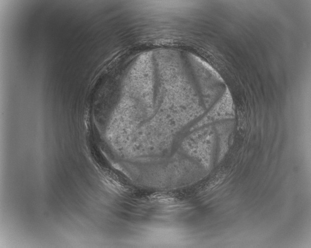 X0000072550648200608111840