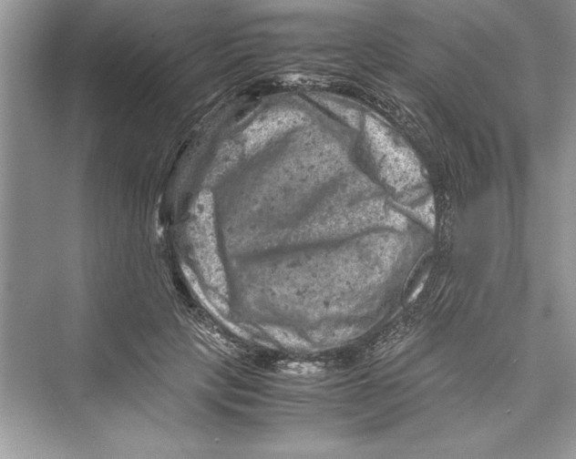 X0000072550649200608111840