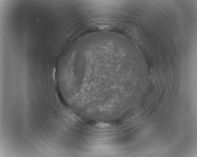 X0000072550650200608111840