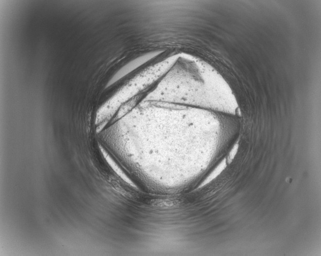 X0000072550652200608111840