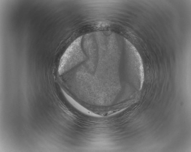 X0000072550654200608111840