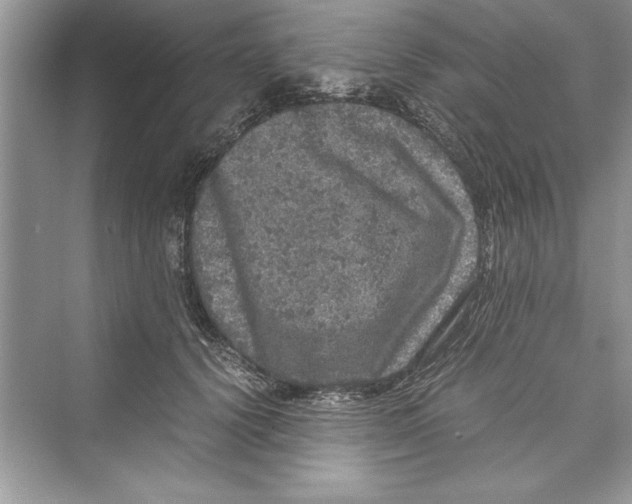 X0000072550656200608111840