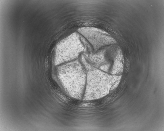 X0000072550657200608111840