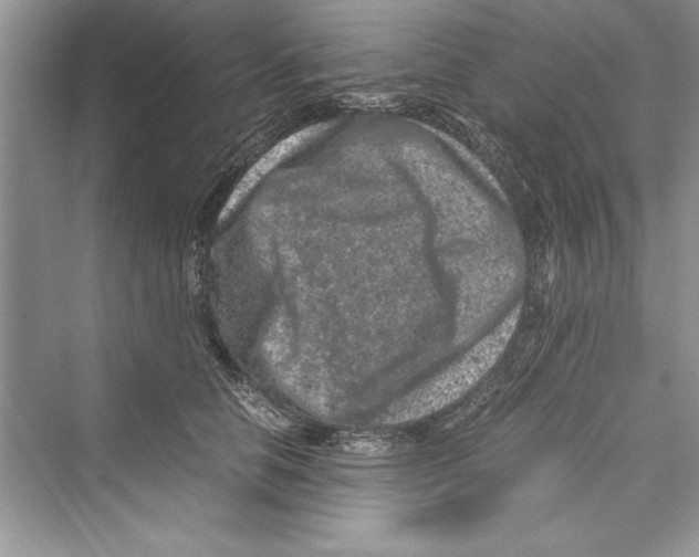 X0000072550658200608111840