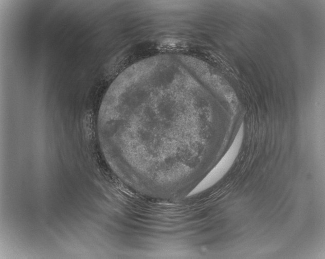 X0000072550659200608111840