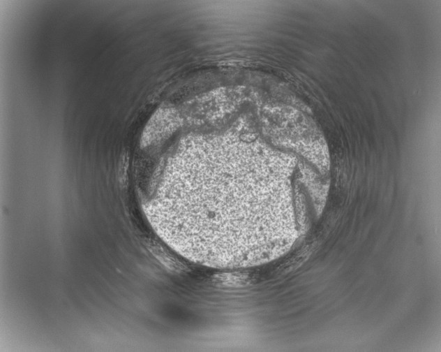 X0000072550660200608111840