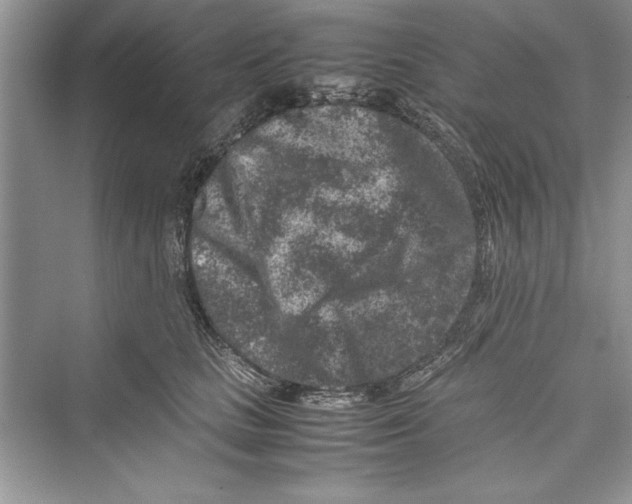 X0000072550661200608111840