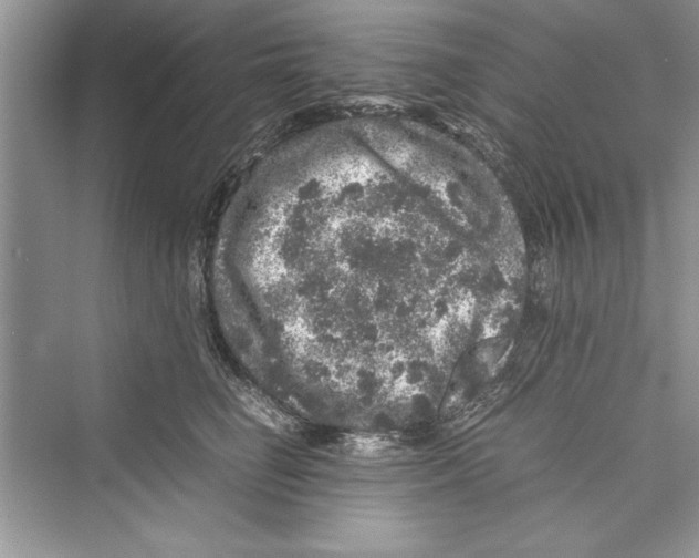 X0000072550662200608111840