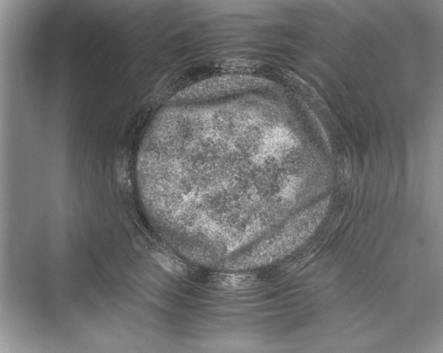 X0000072550663200608111840