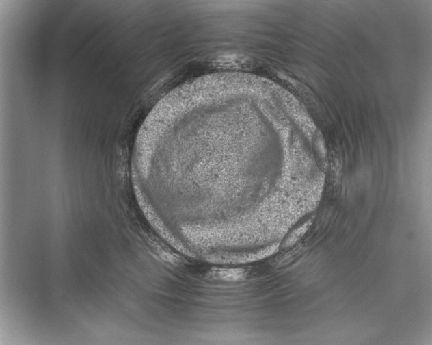 X0000072550665200608111840