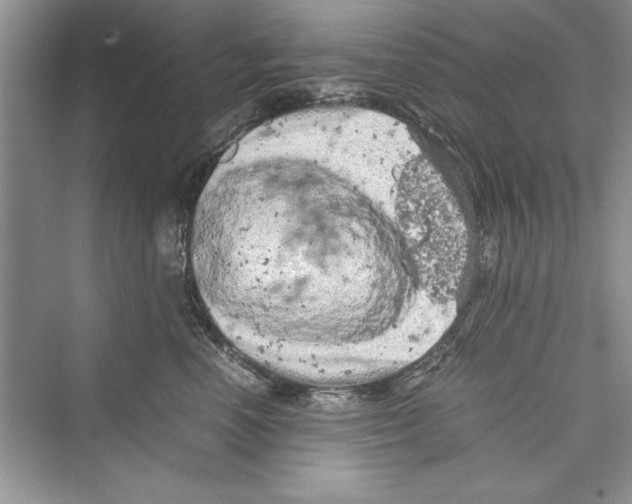 X0000072550666200608111840