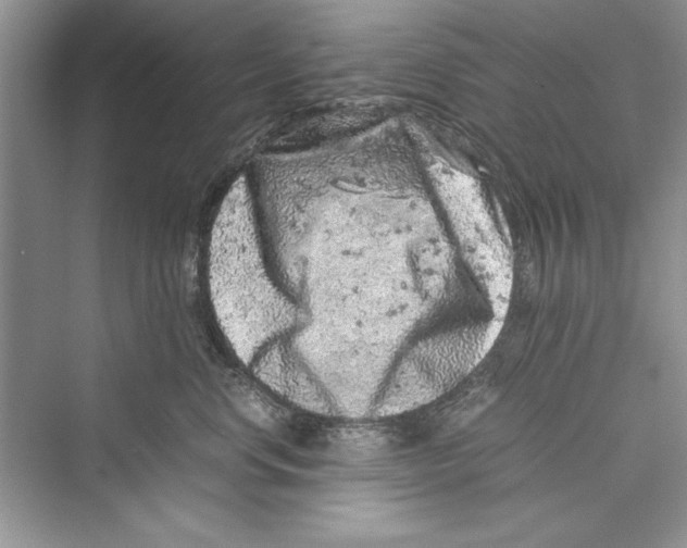 X0000072550668200608111840