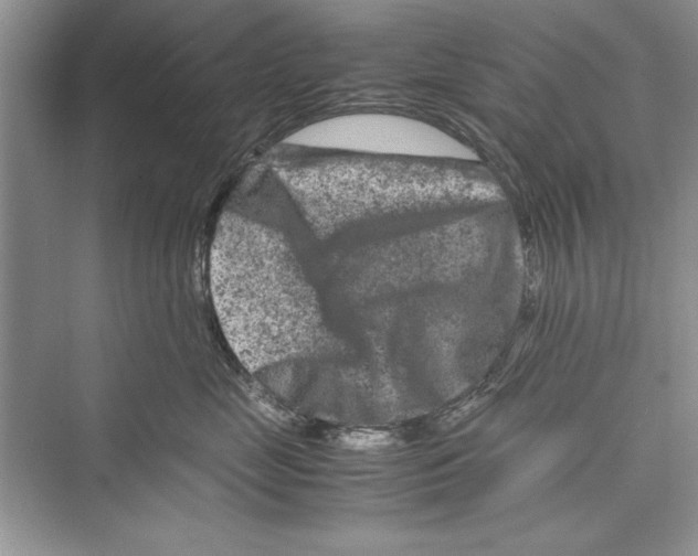 X0000072550669200608111840