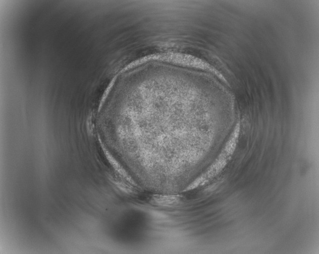 X0000072550671200608111840