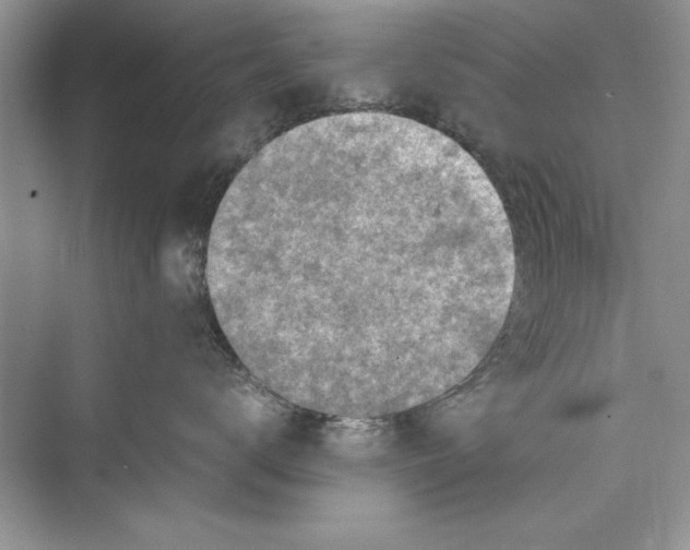 X0000072550672200608111840