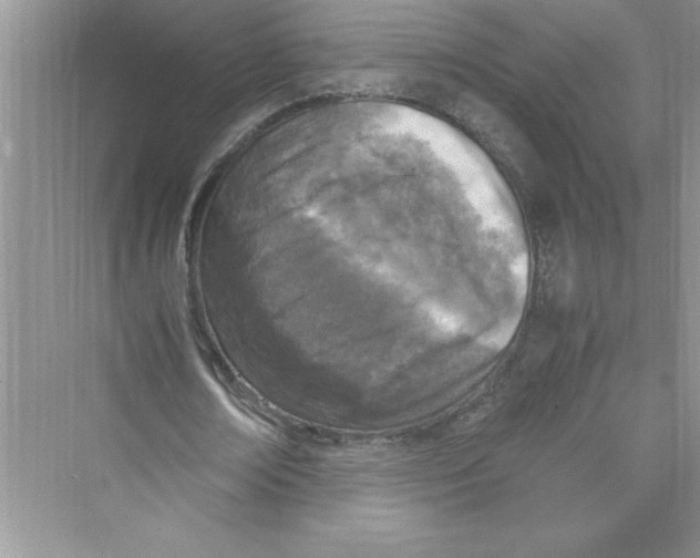 X0000072550674200608111839