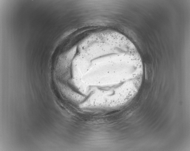 X0000072550675200608111839