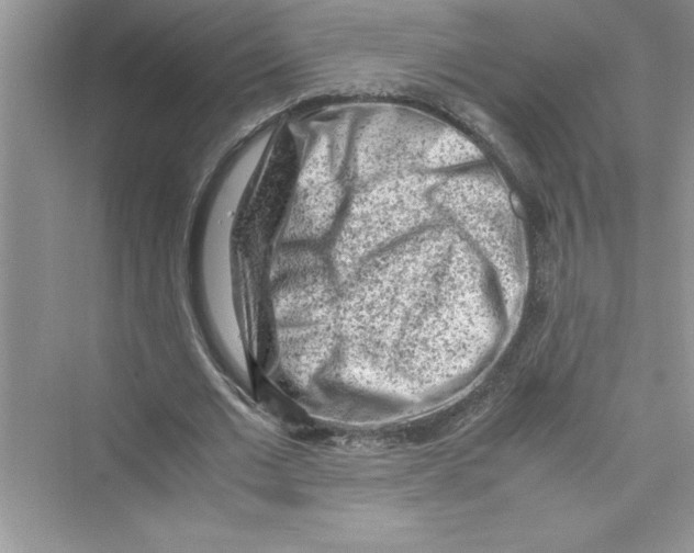 X0000072550677200608111839