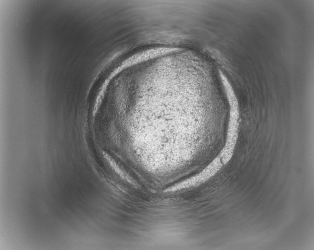 X0000072550679200608111839