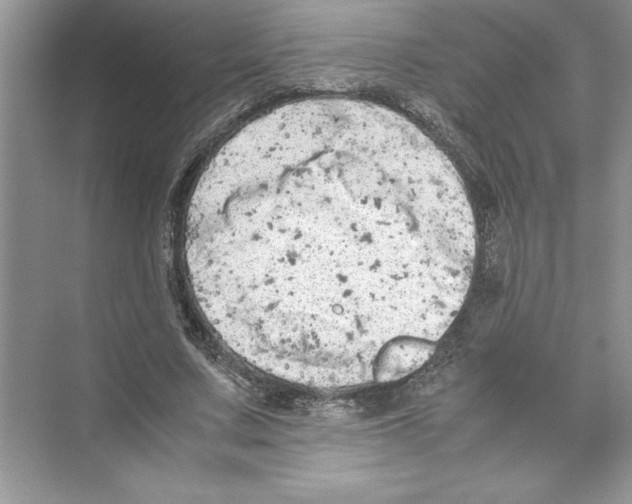 X0000072550683200608111839