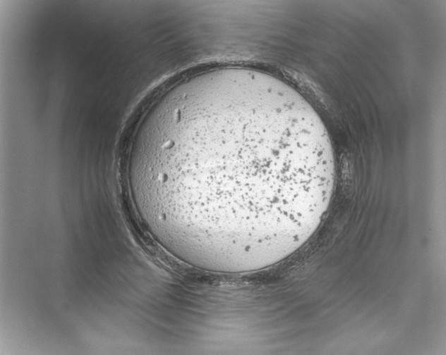 X0000072550684200608111839