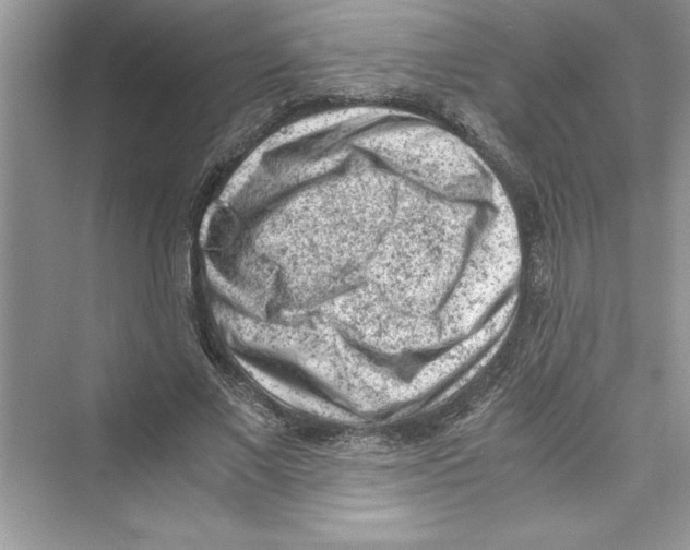 X0000072550685200608111839