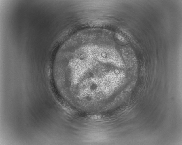 X0000072550687200608111839