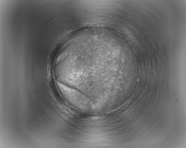 X0000072550692200608111839