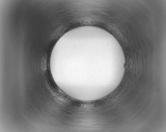 X0000072550694200608111839