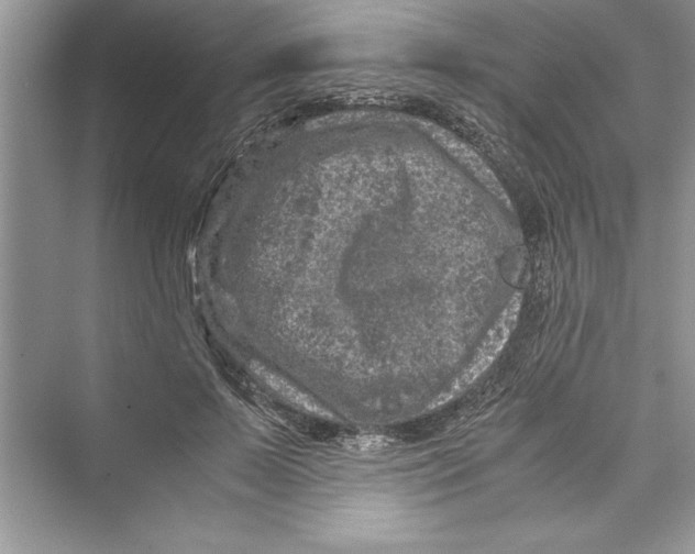 X0000072550695200608111839