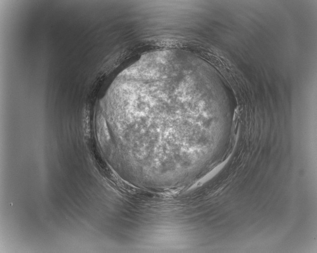 X0000072550696200608111839