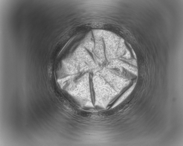 X0000072550697200608111839