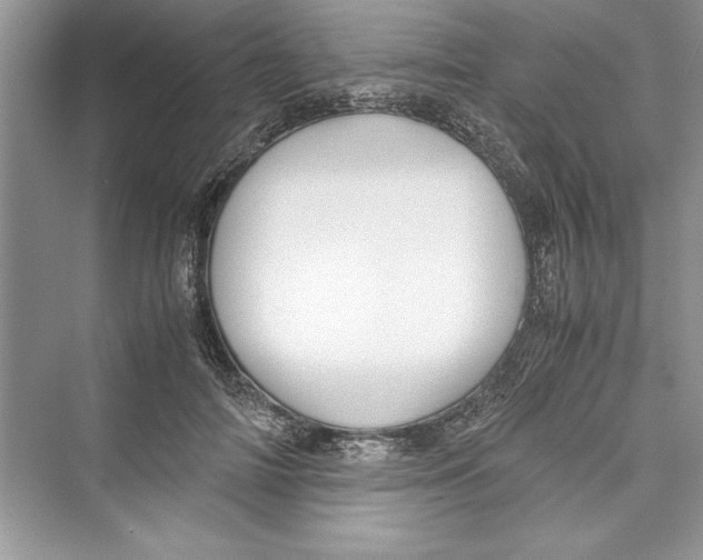 X0000072550698200608111839