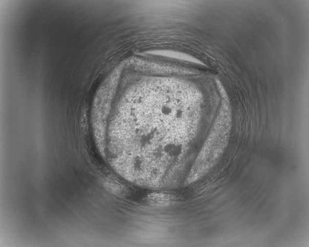 X0000072550699200608111839