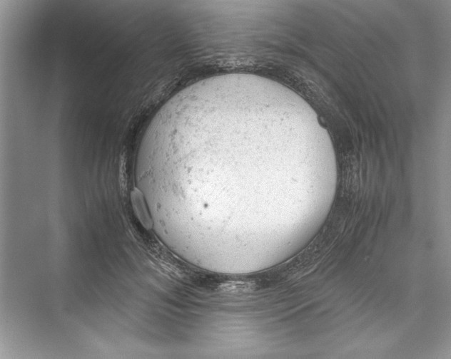 X0000072550700200608111839