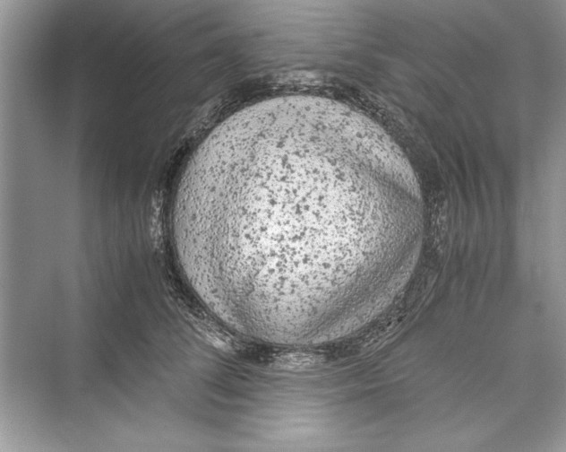 X0000072550708200608111839