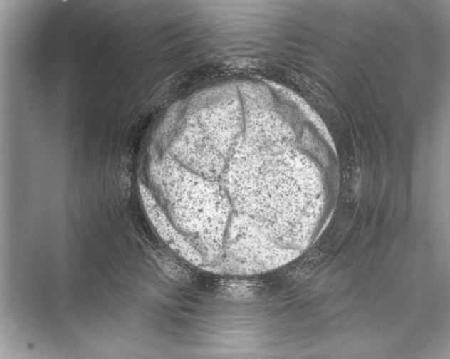 X0000072550710200608111839