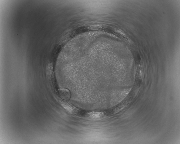 X0000072550711200608111839