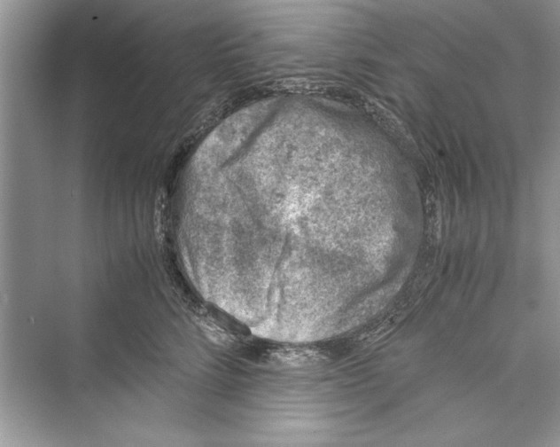 X0000072550712200608111839