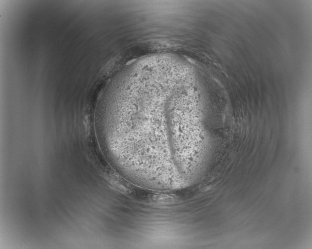 X0000072550716200608111839