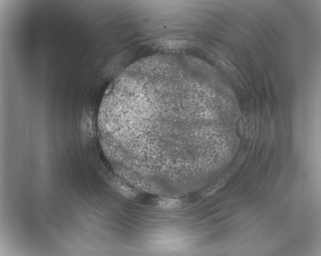 X0000072550718200608111839