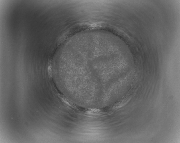 X0000072550720200608111839