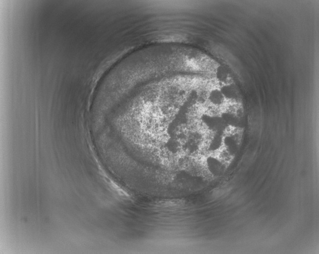 X0000072550721200608111838