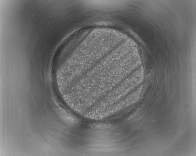 X0000072550722200608111838