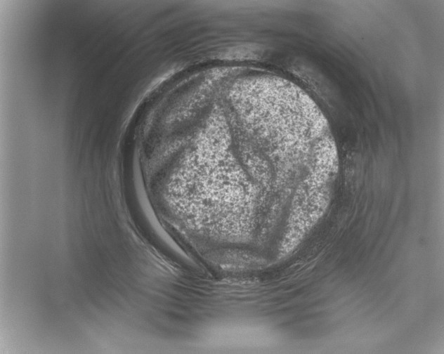 X0000072550727200608111838