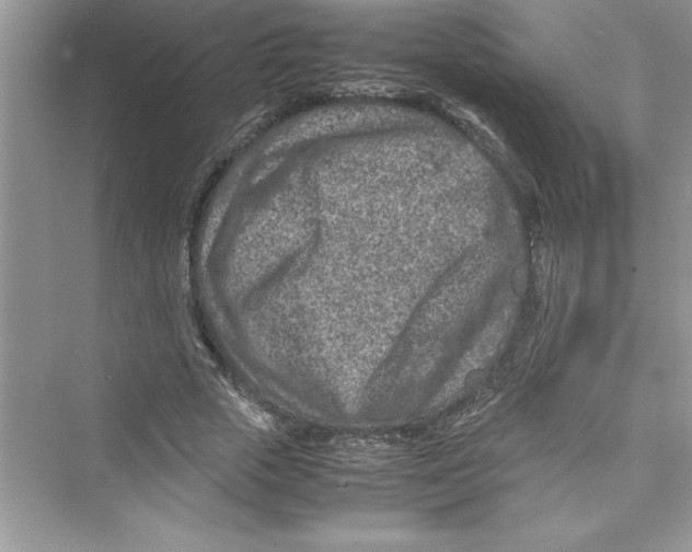 X0000072550729200608111838