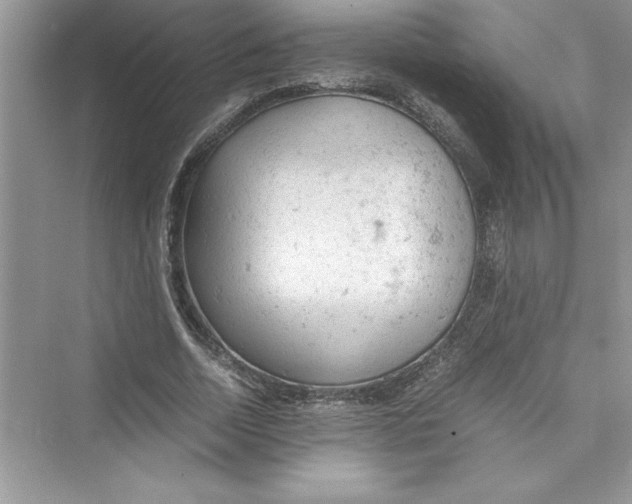 X0000072550730200608111838